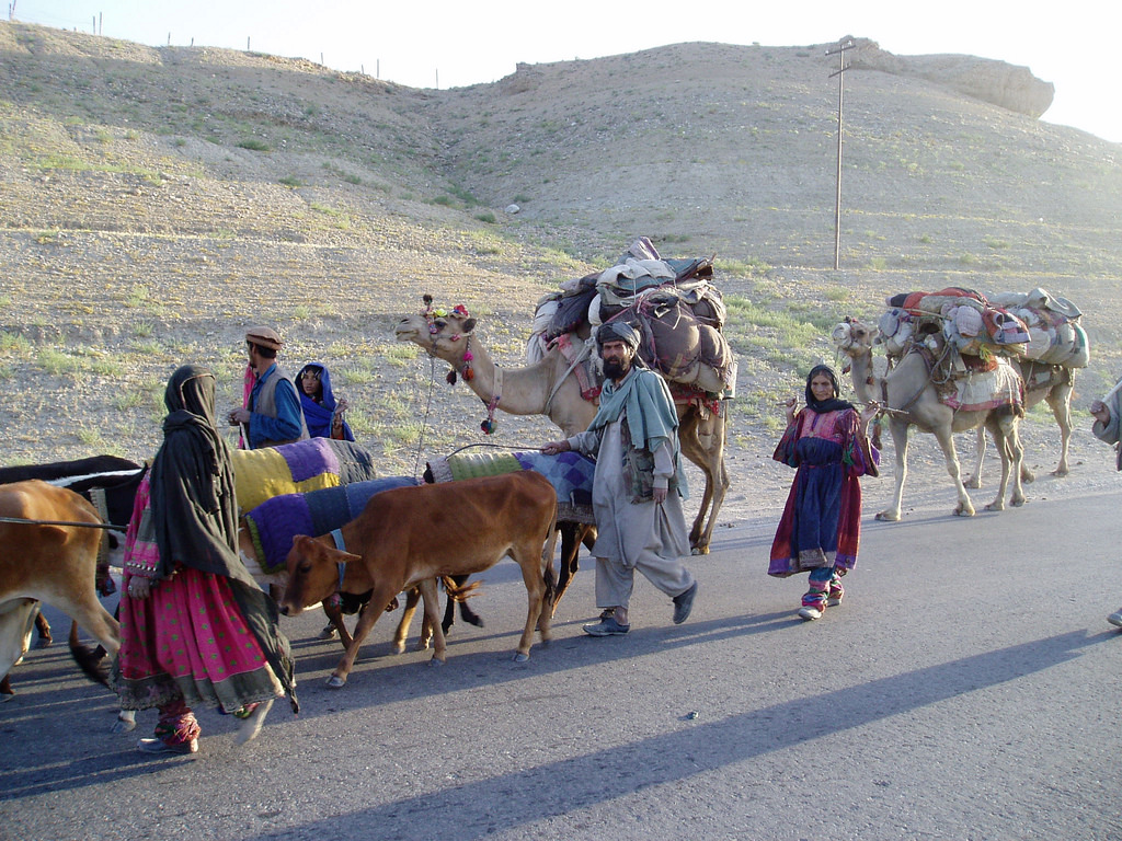 Is There a Future for the Kuchi Nomads of Afghanistan? - Ehsan Bayat ...