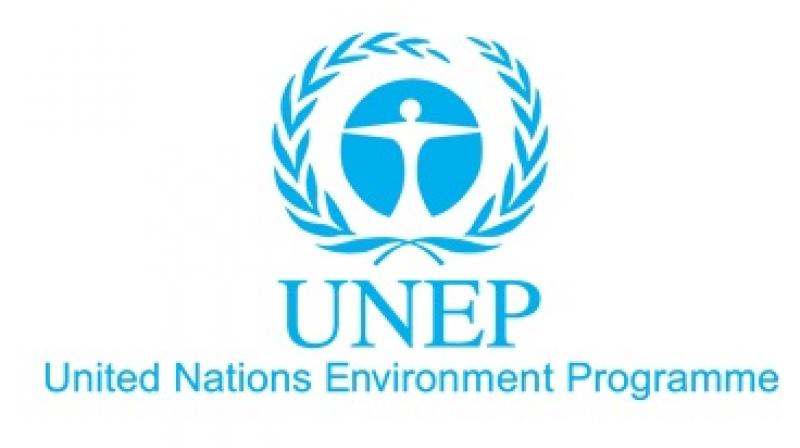 United Nations Environment Programme