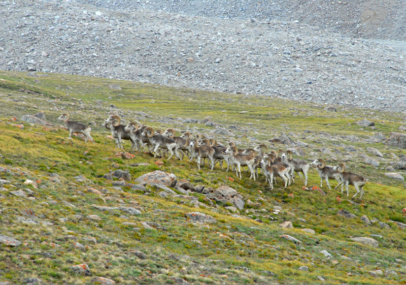 Wakhan National Park